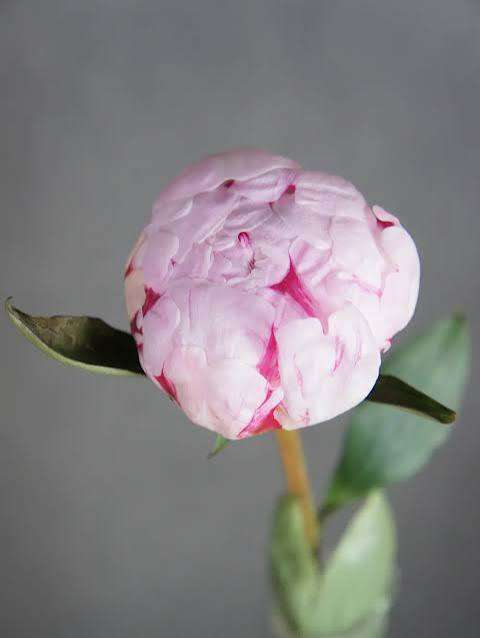 images (38)