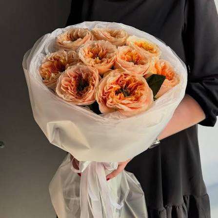 images (17)